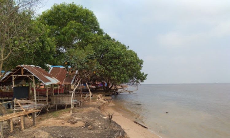 Pantai Akasia Indah Guntung via Google Maps Faris Hamdani, 1. Pantai Purnama, 2. Kampung Teratai, 3. Pantai Medang Kampai, 4. Pantai Teluk Makmur, 5. Pesanggrahan Putri Tujuh, 6. Pelabuhan TPI Purnama, 7. Hutan Wisata Dumai, 8. Hutan Mangrove, 9. Danau Bunga Tujuh, 10. Pantai Pulai Bungkuk Indah, 11. Masjid Raya Al-Manan, 12. Taman Telaga Tirta Patra, 13. Pantai Marina Indah Pulak, 14. Pantai Koneng, 15. Goa Pelintung, 16. Tapak Harimau Sakti, 17. Tugu Lancang Kuning, 18. Taman Putri Zara, 19. Taman Bukit Gelanggang, 20. Resto Rumah Pohon Miaki, 21. Pantai Panorama Puak Dumai, 22. Taman Mina Patra, 23. Bandar Bakau Dumai, 24. Pantai Captain Elwin, 25. Pantai Wisata Bahtera Alam Guntung, 26. Pantai Akasia Indah Guntung, 27. Pantai Legenda