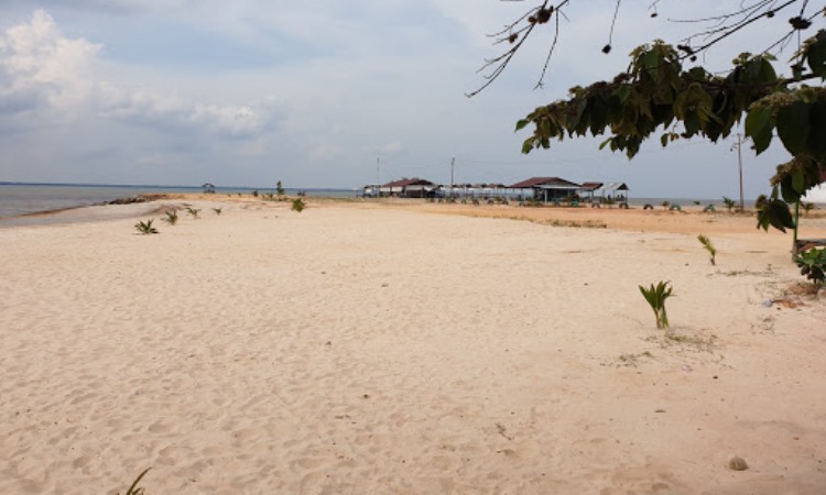 Pantai Koneng via Google Maps Yulia Agnis, 1. Pantai Purnama, 2. Kampung Teratai, 3. Pantai Medang Kampai, 4. Pantai Teluk Makmur, 5. Pesanggrahan Putri Tujuh, 6. Pelabuhan TPI Purnama, 7. Hutan Wisata Dumai, 8. Hutan Mangrove, 9. Danau Bunga Tujuh, 10. Pantai Pulai Bungkuk Indah, 11. Masjid Raya Al-Manan, 12. Taman Telaga Tirta Patra, 13. Pantai Marina Indah Pulak, 14. Pantai Koneng, 15. Goa Pelintung, 16. Tapak Harimau Sakti, 17. Tugu Lancang Kuning, 18. Taman Putri Zara, 19. Taman Bukit Gelanggang, 20. Resto Rumah Pohon Miaki, 21. Pantai Panorama Puak Dumai, 22. Taman Mina Patra, 23. Bandar Bakau Dumai, 24. Pantai Captain Elwin, 25. Pantai Wisata Bahtera Alam Guntung, 26. Pantai Akasia Indah Guntung, 27. Pantai Legenda