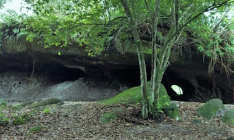Rumah Batu Serombou via Riaumagz, 1. Objek Wisata Sawah Koto, 2. Destinasi Wisata Air Bendungan Sei Kepayang, 3. Istana Rokan, 4. Wisata Aek Martua, 5. Pemandian Air Panas Pawan, 6. Sungai Bungo, 7. Pemandian Hapanasan, 8. Sungai Rokan Kiri, 9. Cipogas, 10. Rumah Batu Serombou, 11. Masjid Agung Madani Islamic Center, 12. Taman Nasional Bukit Suligi, 13. Makam Raja – Raja Rambah, 14. Masjid Tua Konto Darussalam, 15. Museum Kupu – Kupu, 16. Batu Gajah, 17. Danau Sipogas, 18. Goa Huta Sikafir, 19. Benteng Tujuh Lapis