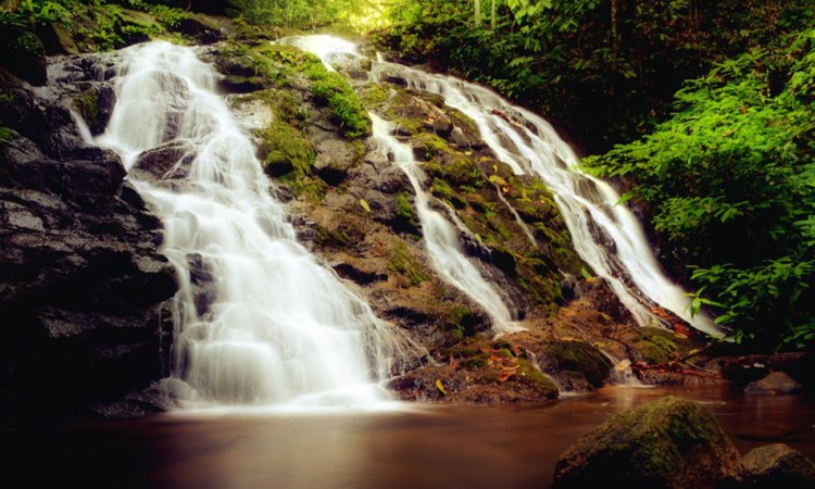 Sungai Bungo via Riaurealita - Tempat Wisata Di Rokan Hulu, 1. Objek Wisata Sawah Koto, 2. Destinasi Wisata Air Bendungan Sei Kepayang, 3. Istana Rokan, 4. Wisata Aek Martua, 5. Pemandian Air Panas Pawan, 6. Sungai Bungo, 7. Pemandian Hapanasan, 8. Sungai Rokan Kiri, 9. Cipogas, 10. Rumah Batu Serombou, 11. Masjid Agung Madani Islamic Center, 12. Taman Nasional Bukit Suligi, 13. Makam Raja – Raja Rambah, 14. Masjid Tua Konto Darussalam, 15. Museum Kupu – Kupu, 16. Batu Gajah, 17. Danau Sipogas, 18. Goa Huta Sikafir, 19. Benteng Tujuh Lapis