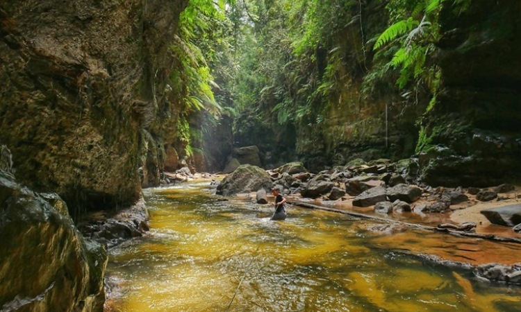 Sungai Gulamo via Merahputih, 1. Puncak Kompe, 2. Lubang Kolam Kampar, 3. Teluk Jering, 4. Bukit Naang Bangkinang, 5. Rimbang Baling, 6. Sungai Hijau, 7. Sungai Gulamo, Green Canyon Riau, 8. Air Terjun Batang Kapas, 9. Desa Buluh Cina, 10. Pulau Cinta, 11. Air Terjun Panisan, 12. Ulu Kasok, 13. Puncak Mahligai Indah, 14. Rumah Lontiok, 15. Hutan Pinus Kampar, 16. Puncak Pukatan, 17. Taman Agro Nadin, 18. Stanum Bangkinang, 19. Waduk Koto Panjang, 20. Taman Bunga Eceng Gondok, 21. Jembatan Water Front City Bangkinang, 22. Candi Muara Takus, 23. Air Terjun Batu Dinding