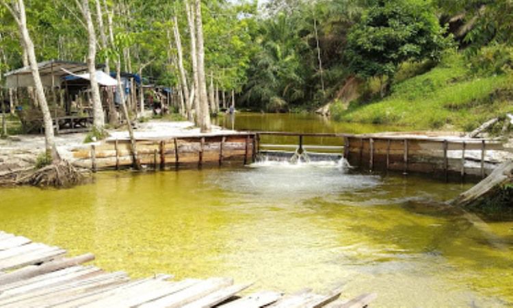 Sungai Hijau Foto Robi Sumarso, 1. Puncak Kompe, 2. Lubang Kolam Kampar, 3. Teluk Jering, 4. Bukit Naang Bangkinang, 5. Rimbang Baling, 6. Sungai Hijau, 7. Sungai Gulamo, Green Canyon Riau, 8. Air Terjun Batang Kapas, 9. Desa Buluh Cina, 10. Pulau Cinta, 11. Air Terjun Panisan, 12. Ulu Kasok, 13. Puncak Mahligai Indah, 14. Rumah Lontiok, 15. Hutan Pinus Kampar, 16. Puncak Pukatan, 17. Taman Agro Nadin, 18. Stanum Bangkinang, 19. Waduk Koto Panjang, 20. Taman Bunga Eceng Gondok, 21. Jembatan Water Front City Bangkinang, 22. Candi Muara Takus, 23. Air Terjun Batu Dinding