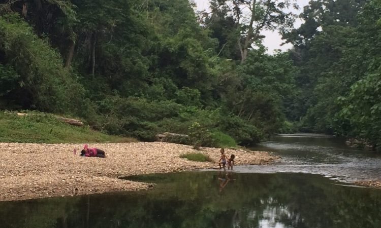 Sungai Rokan Kiri via Lamriau, 1. Objek Wisata Sawah Koto, 2. Destinasi Wisata Air Bendungan Sei Kepayang, 3. Istana Rokan, 4. Wisata Aek Martua, 5. Pemandian Air Panas Pawan, 6. Sungai Bungo, 7. Pemandian Hapanasan, 8. Sungai Rokan Kiri, 9. Cipogas, 10. Rumah Batu Serombou, 11. Masjid Agung Madani Islamic Center, 12. Taman Nasional Bukit Suligi, 13. Makam Raja – Raja Rambah, 14. Masjid Tua Konto Darussalam, 15. Museum Kupu – Kupu, 16. Batu Gajah, 17. Danau Sipogas, 18. Goa Huta Sikafir, 19. Benteng Tujuh Lapis