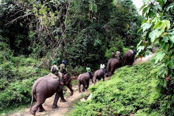 Taman Nasional Tesso Nilo, 1. Istana Sayap Pelalawan, 2. Danau Wisata Betung, 3. Danau Tajwid (Kajuit), 4. Ombak Bono, 5. Suaka Margasatwa Kerumutan, 6. Taman Publik Kreatif, 7. Taman Nasional Tesso Nilo, 8. Tugu Equator Pelalawan, 9. Makam Sultan Mahmud Syah 1, 10. Masjid Agung Pelalawan, 11. Tanjung Putus, 12. Masjid Agung Ulul Azmi, 13. Pantai Ogis, 14. Grand Waterpark Pangkalan Kerinci, 15. Pantai Kute Kerinci, 16. Air Panas Pangkalan Lesung