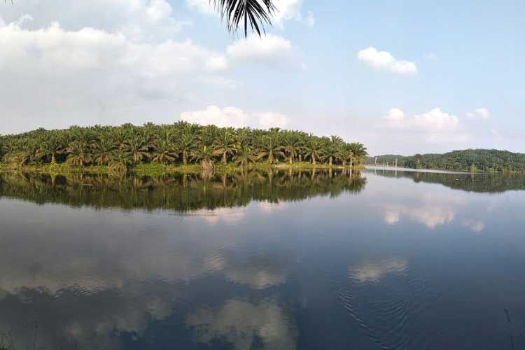 Taman Wisata Sei Doranan via IG @hadi.jr - tempat wisata di Kuantan Singingi, 1. Danau Rawang Udang, 2. Danau Masjid Koto Kari, 3. Air Panas Sungai Pinang, 4. Hutan Kota Pulau Bungin, 5. Air Terjun Guruh Gemurai, 6. Air Terjun Batang Koban, 7. Air Terjun Anak Sungai Kandi, 8. Air Terjun Patisoni, 9. Desa Wisata Koto Sentajo, 10. Suaka Margasatwa Bukit Rimbang Baling, 11. Taman Kota Teluk Kuantan, 12. Danau Kebun Kopi, 13. Taman Wisata Sei Doranan, 14. Bendungan Pangean