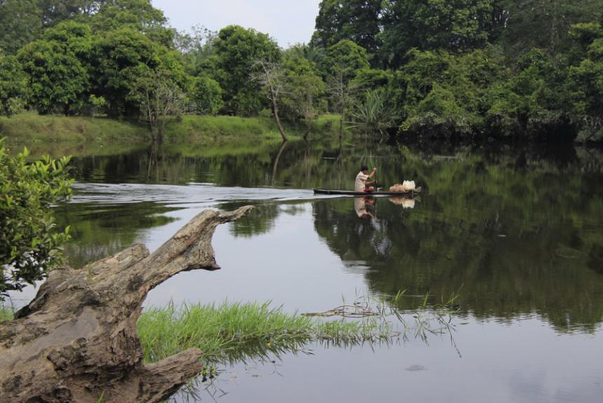 Tanjung Putus, 1. Istana Sayap Pelalawan, 2. Danau Wisata Betung, 3. Danau Tajwid (Kajuit), 4. Ombak Bono, 5. Suaka Margasatwa Kerumutan, 6. Taman Publik Kreatif, 7. Taman Nasional Tesso Nilo, 8. Tugu Equator Pelalawan, 9. Makam Sultan Mahmud Syah 1, 10. Masjid Agung Pelalawan, 11. Tanjung Putus, 12. Masjid Agung Ulul Azmi, 13. Pantai Ogis, 14. Grand Waterpark Pangkalan Kerinci, 15. Pantai Kute Kerinci, 16. Air Panas Pangkalan Lesung