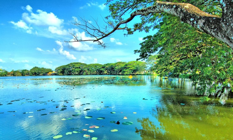 Wisata Alam Danau Raja via Menyapariau, 1. Pantai Solop, 2. Air Terjun 86, 3. Agrowisata Kelapa, 4. Telaga Mablu, 5. Rawa Gambut Pulau Cawan, 6. Sungai Rukam, 7. Wisata Alam Danau Raja, 8. Bukit Berbunga, 9. Air Terjun Tembulun Rusa, 10. Event Wisata Menongkah, 11. Makam Syekh Abdurrahman Siddiq, 12. Wisata Sampan Leper, 13. Hutan Mangrove di Mandah, 14. Kebun Jeruk Pulau Palas, 15. Kampoeng Selfie