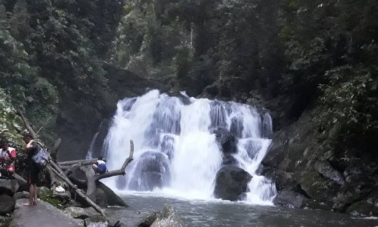 Air Terjun Narso via jambi Independent, 1. Taman Nasional Bukit Duabelas, 2. Wisata Bukit Tembulun, 3. Air Terjun Tujuh Tingkat, 4. Air Terjun Batu Empang, 5. Bukit Tempurung Garden, 6. Gua Culau Petak, 7. Dam Jernih dan Air Terjun Talun Dua, 8. Wisata Air Di Batang Asai, 9. Danau Biru, 10. Jembatan Beatrix, 11. Taman Tepian Cik Minah, 12. Bukit Suban Spi, 13. Bukit Bulan, 14. Air Terjun Narso, 15. Danau Kaco, 16. Bukit Temukan, 17. ABC Waterpark, 18. Bukit Seruling, 19. Wisata Sungai Batu Putih, 20. Air Terjun Seluro, 21. Kali Anyep