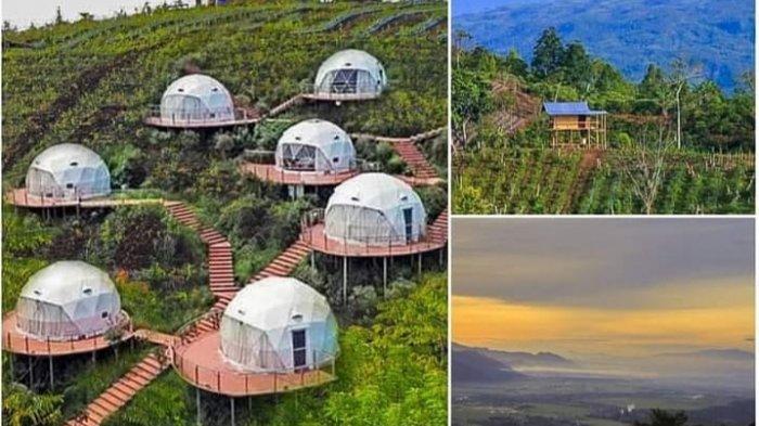Bukit Sungai Langit, 1. Gunung Kerinci, 2. Perkebunan Teh Kayu Aro, 3. Taman Nasional Kerinci Seblat, 4. Bukit Khayangan, 5. Goa Kasah, 6. Kawasan Aroma Peko, 7. Air Terjun Pancuran Rayo, 8. Air Terjun Telun Berasap, 9. Danau Lingkat, 10. Pendakian Kerinci, 11. Masjid Agung Pondok Tinggi, 12. Air Panas Semurup, 13. Air Terjun Talang Kemulun, 14. Danau Kerinci, 15. Danau Kaco, 16. Danau Gunung Tujuh, 17. Rawa Bento, 18. Family Garden, 19. Pinus Kerinci, 20. Taman Bukit Tengah, 21. Puncak Rindu, 22. Pantai Pasir Panjang, 23. Taman Putri Tunggal, 24. Air Terjun Sungai Medang, 25. Bukit Sungai Langit, 26. Swarga Lodge dan Homestay