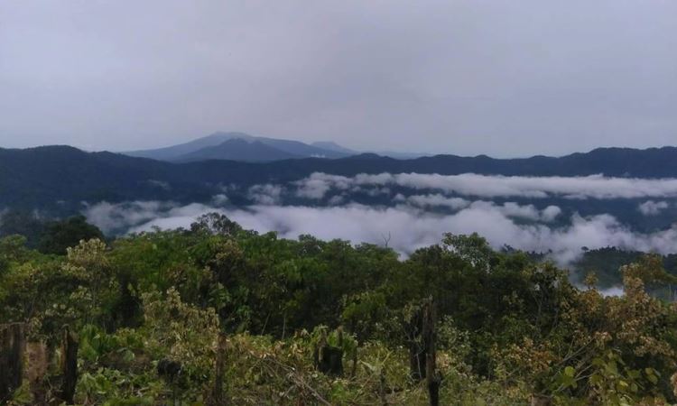 Bukit Tempurung Garden via FB, 1. Taman Nasional Bukit Duabelas, 2. Wisata Bukit Tembulun, 3. Air Terjun Tujuh Tingkat, 4. Air Terjun Batu Empang, 5. Bukit Tempurung Garden, 6. Gua Culau Petak, 7. Dam Jernih dan Air Terjun Talun Dua, 8. Wisata Air Di Batang Asai, 9. Danau Biru, 10. Jembatan Beatrix, 11. Taman Tepian Cik Minah, 12. Bukit Suban Spi, 13. Bukit Bulan, 14. Air Terjun Narso, 15. Danau Kaco, 16. Bukit Temukan, 17. ABC Waterpark, 18. Bukit Seruling, 19. Wisata Sungai Batu Putih, 20. Air Terjun Seluro, 21. Kali Anyep