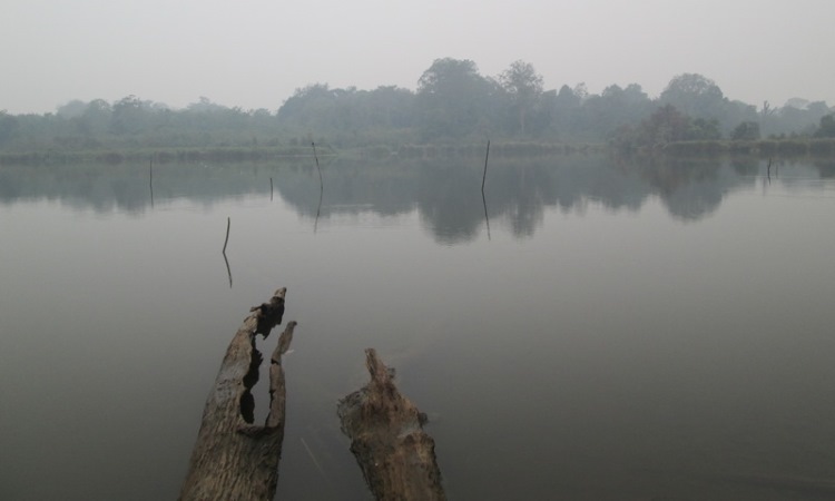 Danau Ugo via acKompasiana, 1. Taman Payung, 2. Taman Bunga Talang Bukit, 3. Bukit Ilalang, 4. Sungai Batanghari, 5. Taman Remaja Tembesi, 6. Danau Puri Indah, 7. Pasar Muara Tembesi, 8. Lapangan Garuda, 9. Puri Rimbo Bulian, 10. Tugu Tapah Malenggang Batanghari, 11. Danau Biru, 12. Danau Ugo, 13. Kembang Langit, 14. Bukit Cinta Danau Embat, 15. Taman Wisata Sungai Bujang, 16. Danau Letang Jaya