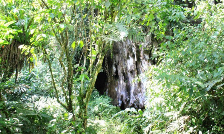 Gua Culau Petak, 1. Taman Nasional Bukit Duabelas, 2. Wisata Bukit Tembulun, 3. Air Terjun Tujuh Tingkat, 4. Air Terjun Batu Empang, 5. Bukit Tempurung Garden, 6. Gua Culau Petak, 7. Dam Jernih dan Air Terjun Talun Dua, 8. Wisata Air Di Batang Asai, 9. Danau Biru, 10. Jembatan Beatrix, 11. Taman Tepian Cik Minah, 12. Bukit Suban Spi, 13. Bukit Bulan, 14. Air Terjun Narso, 15. Danau Kaco, 16. Bukit Temukan, 17. ABC Waterpark, 18. Bukit Seruling, 19. Wisata Sungai Batu Putih, 20. Air Terjun Seluro, 21. Kali Anyep