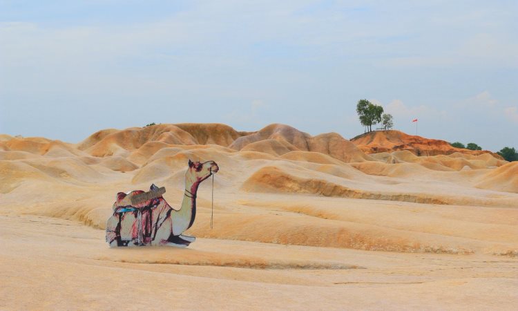 Gurun Pasir Busung via Twitter @ben2682, 1. Pantai Trikora, 2. Pelabuhan Bandar Bentan Telani, 3. Rumah Arang, 4. Gurun Pasir Busung, 5. Crystal Lagoon, 6. Air Adventure Flying Club Bintan, 7. Danau Biru, 8. Vihara Patung 1000 Wajah, 9. Hutan Mangrove, 10. Pantai Sakera, 11. Vihara Avalokitesevara, 12. Pulau Penyusuk, 13. Aroma River Spa, 14. Pulau Penyengat, 15. Pulau Beralas Pasir, 16. Tasik Divers Bintan, 17. Gunung Bintan, 18. Lagoi, 19. MV Doulos Phos, 20. Pantai Impian, 21. Pantai Senggiling, 22. Air Terjun Gunung Bintan, 23. Penangkaran Penyu White Sands Island, 24. Treasure Bay