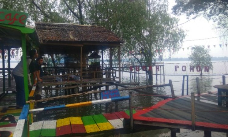 Kampung Laut via Viva, 1. Wisata Cagar Alam Hutan Bakau Pantai Timur, 2. Taman Nasional Berbak, 3. Pantai Cemara, 4. Taman Selaras Pinang Masak, 5. Pulau Berhala, 6. Sumber Mata Air Panas, 7. Kota Kandis, 8. Kampung Laut, 9. Pantai Air Hitam, 10. Crocodile Safari, 11. Makam Rang kayo Hitam, 12. Kawasan Perkantoran Bupati dan Majid Agung Nur Addarojat, 13. Wisata Air Hitam, 14. Pulau Penyu, 15. Ekowisata Hutan Desa Berbasis Konservasi