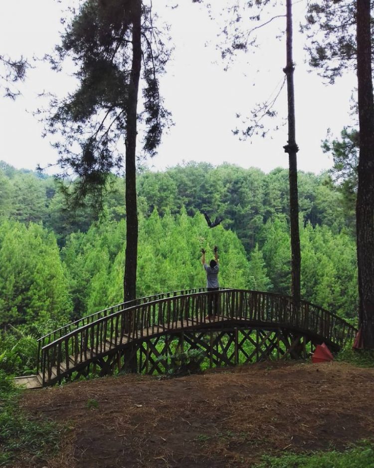 Kembang Langit via IG @aant_sholehan, 1. Taman Payung, 2. Taman Bunga Talang Bukit, 3. Bukit Ilalang, 4. Sungai Batanghari, 5. Taman Remaja Tembesi, 6. Danau Puri Indah, 7. Pasar Muara Tembesi, 8. Lapangan Garuda, 9. Puri Rimbo Bulian, 10. Tugu Tapah Malenggang Batanghari, 11. Danau Biru, 12. Danau Ugo, 13. Kembang Langit, 14. Bukit Cinta Danau Embat, 15. Taman Wisata Sungai Bujang, 16. Danau Letang Jaya