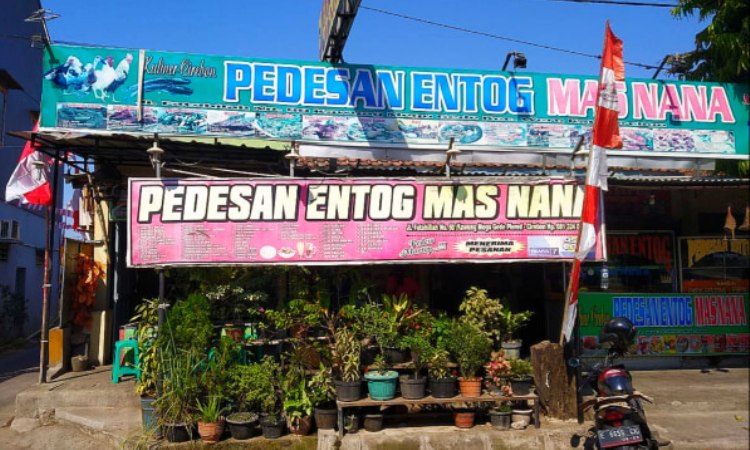 Pedesan Entog Mas Nana via Kumparan, 1. Warung Nasi Jamblang Ibu Nur, 2. Empal Gentong H. Apud Pusat, 3. Nasi Jamblang Mang Dul, 4. Restoran Klapa Manis, 5. Urban Chicken, 6. Rumah Makan Ayam Goreng Bahagia 71 Hj.Sunarti, 7. H. Moel Seafood Pusat Cirebon, 8. Nasi Lengko Haji Barno, 9. Lombok Idjo Cirebon, 10. Warung Bubur M Thoha, 11. Salt Sunda &amp; Seafood, 12. Kampung Kecil Cirebon, 13. CHENG HO RESTO, 14. Pedesan Entog Mas Nana Megu Gede, 15. Restoran Marina, 16. Mie Petruk, 17. Rumah Makan Nelayan Jaya, 18. Resto Batik Chicken, 19. RM. Karunia Jaya Kartini, 20. Nasi Kuning Pekalangan, 21. Gado-Gado Ayam Mang Djum, 22. Resto Al Mumtaz, 23. Gokana Ramen &amp; Teppan CSB Mall, 24. Sate Kalong (Kerbau) Bpk. Karyadi, 25. Arirang Korean Restoran, 26. Mie Koclok “Mang Sam” Pekiringan, 27. Tahu Gejrot Pak Wardi, 28. Raja Dimsum