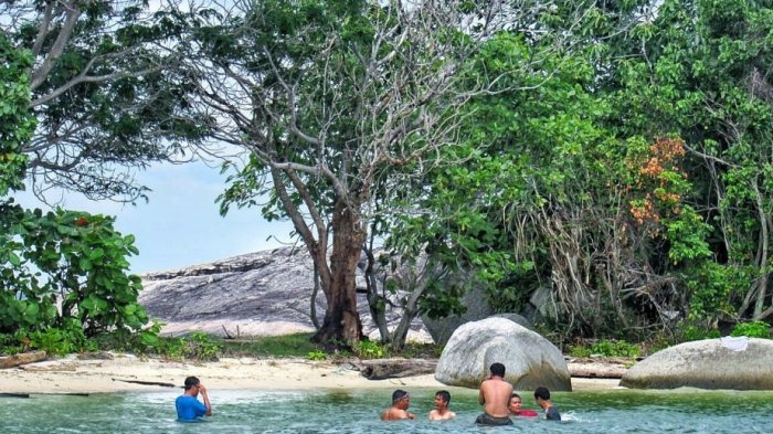 Pulau Penyu via Tribunnews - Tempat Wisata Di Tanjung Jabung Timur, 1. Wisata Cagar Alam Hutan Bakau Pantai Timur, 2. Taman Nasional Berbak, 3. Pantai Cemara, 4. Taman Selaras Pinang Masak, 5. Pulau Berhala, 6. Sumber Mata Air Panas, 7. Kota Kandis, 8. Kampung Laut, 9. Pantai Air Hitam, 10. Crocodile Safari, 11. Makam Rang kayo Hitam, 12. Kawasan Perkantoran Bupati dan Majid Agung Nur Addarojat, 13. Wisata Air Hitam, 14. Pulau Penyu, 15. Ekowisata Hutan Desa Berbasis Konservasi