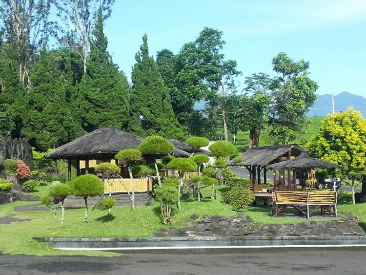 Rumah Makan Sari Mawar, 1. Rumah Makan Sangkuriang Resto, 2. Saung Sarasa Subang, 3. Rumah Makan Mang Yeye, 4. Saung Ambu Cikadu, 5. Restoran Pringsewu Cipali, 6. Warung Makan Sunda Bang Jun, 7. Rumah Makan Gala, 8. Dapur Tutug, 9. Lesehan Bale Endah Subang, 10. Rumah Makan Abah Asli Cobek Belut, 11. Lesehan Riungsari Seafood dan Ayam Bakar, 12. Kedai Tuan Crab Subang, 13. Rumah Makan Ma’Pinah, 14. D’King Café &amp; Resto, 15. Balai Desa Rumah Makan, 16. Bakso Parahyangan, 17. Rumah Makan Lesehan Sop Ikan Neng Jihan, 18. D’Bubuy Hayam Ma Atik, 19. Dapoer Ummi, 20. Rumah Makan Sari Mawar, 21. Rumah Makan Sindang Heula Abah, 22. Saung Empang, 23. Bakar Ikan Laut A’ Badru, 24. Lampu Satu, 25. Follow Mie