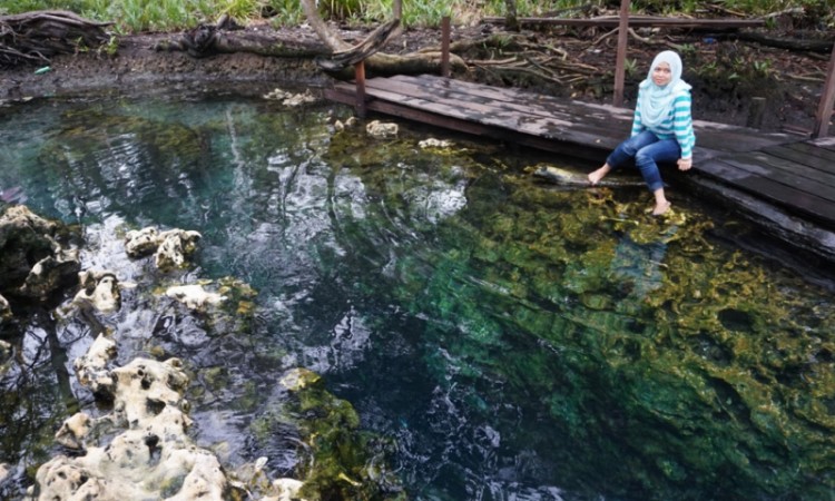 Sumber Mata Air Panas, 1. Wisata Cagar Alam Hutan Bakau Pantai Timur, 2. Taman Nasional Berbak, 3. Pantai Cemara, 4. Taman Selaras Pinang Masak, 5. Pulau Berhala, 6. Sumber Mata Air Panas, 7. Kota Kandis, 8. Kampung Laut, 9. Pantai Air Hitam, 10. Crocodile Safari, 11. Makam Rang kayo Hitam, 12. Kawasan Perkantoran Bupati dan Majid Agung Nur Addarojat, 13. Wisata Air Hitam, 14. Pulau Penyu, 15. Ekowisata Hutan Desa Berbasis Konservasi