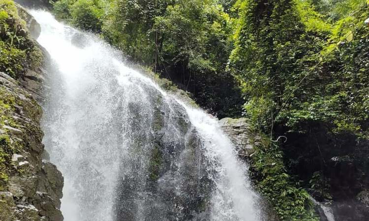 Wisata Air Di Batang Asai via IG @batangasaiindonesia, 1. Taman Nasional Bukit Duabelas, 2. Wisata Bukit Tembulun, 3. Air Terjun Tujuh Tingkat, 4. Air Terjun Batu Empang, 5. Bukit Tempurung Garden, 6. Gua Culau Petak, 7. Dam Jernih dan Air Terjun Talun Dua, 8. Wisata Air Di Batang Asai, 9. Danau Biru, 10. Jembatan Beatrix, 11. Taman Tepian Cik Minah, 12. Bukit Suban Spi, 13. Bukit Bulan, 14. Air Terjun Narso, 15. Danau Kaco, 16. Bukit Temukan, 17. ABC Waterpark, 18. Bukit Seruling, 19. Wisata Sungai Batu Putih, 20. Air Terjun Seluro, 21. Kali Anyep