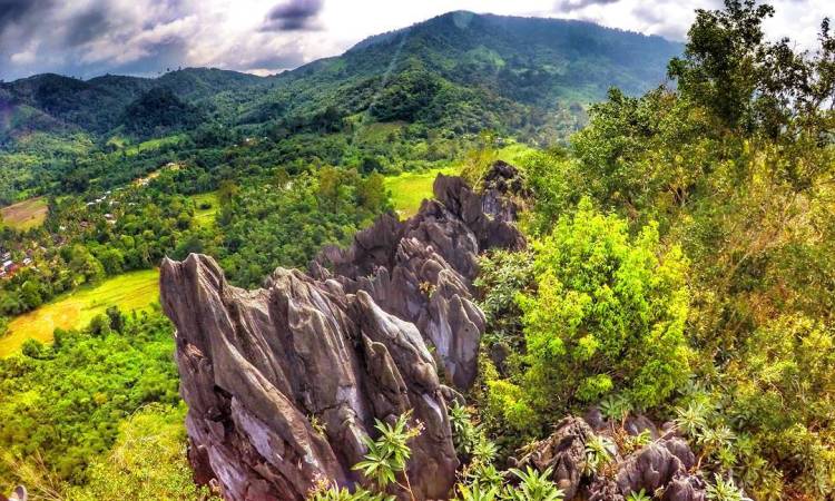 Wisata Bukit Tembulun via IG @pesonajambi, 1. Taman Nasional Bukit Duabelas, 2. Wisata Bukit Tembulun, 3. Air Terjun Tujuh Tingkat, 4. Air Terjun Batu Empang, 5. Bukit Tempurung Garden, 6. Gua Culau Petak, 7. Dam Jernih dan Air Terjun Talun Dua, 8. Wisata Air Di Batang Asai, 9. Danau Biru, 10. Jembatan Beatrix, 11. Taman Tepian Cik Minah, 12. Bukit Suban Spi, 13. Bukit Bulan, 14. Air Terjun Narso, 15. Danau Kaco, 16. Bukit Temukan, 17. ABC Waterpark, 18. Bukit Seruling, 19. Wisata Sungai Batu Putih, 20. Air Terjun Seluro, 21. Kali Anyep