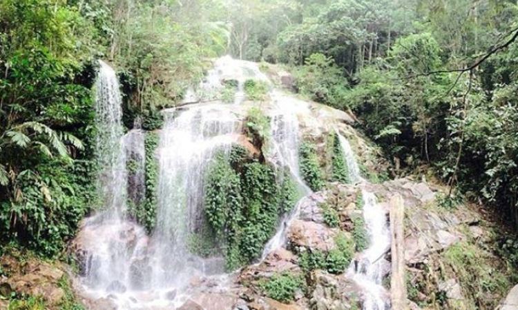 Air Terjun 12 Tingkat Sungai Lengginai via Kerincitraveling.wordpresscom, 1. Taman Wisata Lestari Indah, 2. Pantai Pangkal Babu, 3. Waterfront City, 4. Tungkal Ancol Beach, 5. Danau Hijau, 6. Bukit Senyum, 7. Kolam Renang Alam Asri, 8. Air Terjun 12 Tingkat Sungai Lengginai, 9. Air Terjun Calista Irawan, 10. Air Terjun Taman Raja, 11. Air Terjun Lingkis, 12. Air Terjun Bukit Pinang Bawah, 13. Jembatan WFC Kuala Tungkal, 14. Masjid Besar Suryah Khairudin, 15. Taman Nasional Bukit 30, 16. Air Terjun Seng, 17. Hutan Mangrove, 18. Wisata Umo Cinto , 19. Pematang Genting