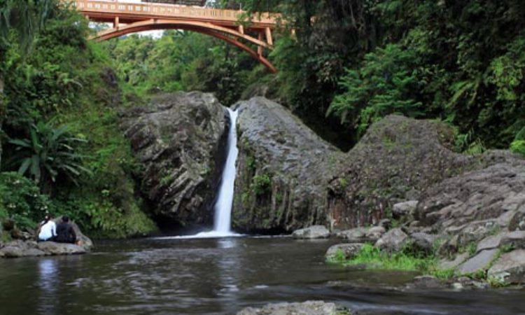 Air Terjun Bukit Pinang Bawah via Hyraceum63.rssingcom, 1. Taman Wisata Lestari Indah, 2. Pantai Pangkal Babu, 3. Waterfront City, 4. Tungkal Ancol Beach, 5. Danau Hijau, 6. Bukit Senyum, 7. Kolam Renang Alam Asri, 8. Air Terjun 12 Tingkat Sungai Lengginai, 9. Air Terjun Calista Irawan, 10. Air Terjun Taman Raja, 11. Air Terjun Lingkis, 12. Air Terjun Bukit Pinang Bawah, 13. Jembatan WFC Kuala Tungkal, 14. Masjid Besar Suryah Khairudin, 15. Taman Nasional Bukit 30, 16. Air Terjun Seng, 17. Hutan Mangrove, 18. Wisata Umo Cinto , 19. Pematang Genting