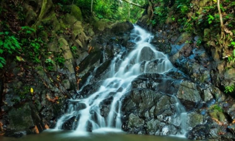 Air Terjun Calista Irawan, 1. Taman Wisata Lestari Indah, 2. Pantai Pangkal Babu, 3. Waterfront City, 4. Tungkal Ancol Beach, 5. Danau Hijau, 6. Bukit Senyum, 7. Kolam Renang Alam Asri, 8. Air Terjun 12 Tingkat Sungai Lengginai, 9. Air Terjun Calista Irawan, 10. Air Terjun Taman Raja, 11. Air Terjun Lingkis, 12. Air Terjun Bukit Pinang Bawah, 13. Jembatan WFC Kuala Tungkal, 14. Masjid Besar Suryah Khairudin, 15. Taman Nasional Bukit 30, 16. Air Terjun Seng, 17. Hutan Mangrove, 18. Wisata Umo Cinto , 19. Pematang Genting