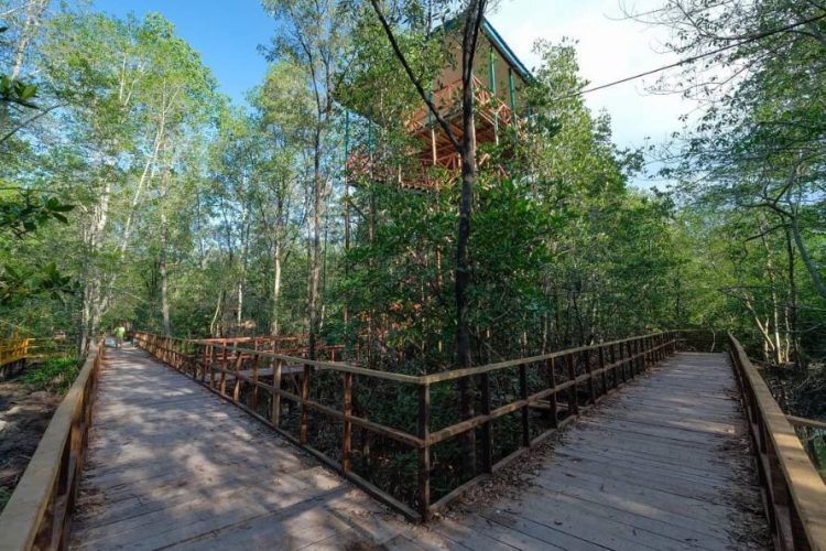 Hutan Mangrove via IG @genpitanjungjabungbarat - Tempat Wisata Di Tanjung Jabung Barat, 1. Taman Wisata Lestari Indah, 2. Pantai Pangkal Babu, 3. Waterfront City, 4. Tungkal Ancol Beach, 5. Danau Hijau, 6. Bukit Senyum, 7. Kolam Renang Alam Asri, 8. Air Terjun 12 Tingkat Sungai Lengginai, 9. Air Terjun Calista Irawan, 10. Air Terjun Taman Raja, 11. Air Terjun Lingkis, 12. Air Terjun Bukit Pinang Bawah, 13. Jembatan WFC Kuala Tungkal, 14. Masjid Besar Suryah Khairudin, 15. Taman Nasional Bukit 30, 16. Air Terjun Seng, 17. Hutan Mangrove, 18. Wisata Umo Cinto , 19. Pematang Genting