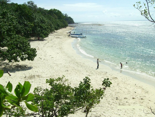 Pantai Singkil Karang Pakis, 1. Pantai Jetis, 2. Pantai Widarapayung, 3. Pantai Teluk Penyu, 4. Pantai Logending, 5. Pantai Permisan, 6. Pantai Kali Kencana, 7. Pantai Kamulyan, 8. Karang Pandan Beach, 9. Pantai Kalipat, 10. Sodong Beach, 11. Pantai Srandil, 12. Pantai Ketapang Indah, 13. Pantai Singkil Karang Pakis, 14. Pantai Kemiren