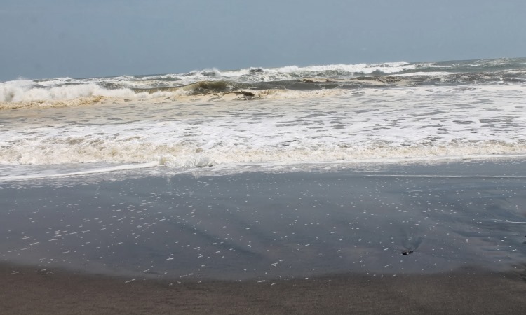 Ciujung Beach via Syadhahanita.blogspotcom, 1. Pantai Apra, 2. Pantai Jayanti, 3. Pelabuhan Jayanti, 4. Pantai Cigebang, 5. Pantai Karang Potong  , 6. Pantai Sereg, 7. Pantai Ciwidig, 8. Pantai Agrabinta, 9. Pantai Cipanglay, 10. Pantai Batu Kukumbung, 11. Pantai Sarongge, 12. Pantai Cieurih, 13. Pantai Sindangbarang, 14. Pantai Lugina, 15. Ciujung Beach, 16. Pantai Rancabuaya, 17. Muara Cisela, 18. Pantai Maleber
