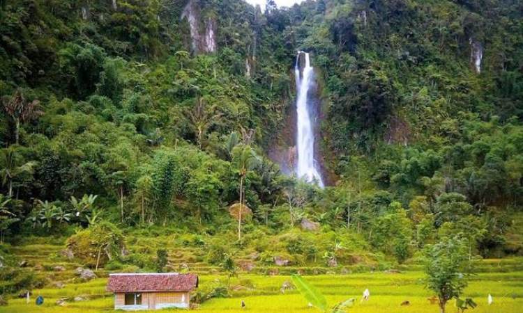 Curug Aki Toto, 1. Curug Cisampay, 2. Curug Aki Toto, 3. Curug Walanda, 4. Curug Kemang, 5. Curug Ngebul, 6. Curug Dengdeng, 7. Curug Ciastana, 8. Curug Cijampang, 9. Curug Kubang, 10. Curug Cibule, 11. Curug Dadali, 12. Curug Siuh, 13. Curug Citambur, 14. Curug Ciismun, 15. Curug Cibeureum, 16. Curug Cikondang, 17. Curug Cibogo, 18. Curug Pancur Desa Kemang