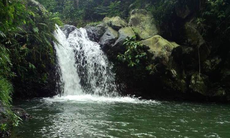 Curug Batu Tapak, 1. Curug Sentral, 2. Curug Cibeureum, 3. Curug Cirajeg, 4. Curug Cikaso, 5. Curug Cikaret, 6. Curug Cigangsa, 7. Curug Puncak Jeruk, 8. Curug Puncak Manik, 9. Curug Sawer, 10. Curug Tengah, 11. Curug Sodong, 12. Curug Awang, 13. Curug Cimarinjung, 14. Curug Bibijilan, 15. Curug Pareang, 16. Curug Cikanteh, 17. Curug Batu Tapak, 18. Curug Gentong