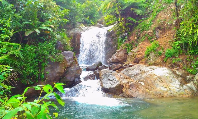 Curug Ciburial via Pintuwisata, 1. Goa Agung Garunggang, 2. Taman Sakura, 3. Curug Cigamea, 4. Curug Leuwi Hejo, 5. Curug Ciburial, 6. Curug Leuwi Lieuk, 7. Taman Safari, 8. Bukit Alesano, 9. Taman Wisata Matahari, 10. Sungai Cisadane, 11. Air Panas Tirta Sanita Ciseeng, 12. Warso Farm, 13. Taman Bunga Nusantara, 14. The Highland Park Resort