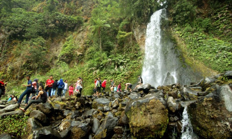 - Wisata Hits di Cianjur, 1. Pantai Jayanti, 2. The Little Venice Cipanas, 3. Istana Presiden Cipanas, 4. Wisata Alam Curug Citambur, 5. Taman Nasional Gunung Gede Pangrango, 6. Kebun Raya Cibodas, 7. Taman Bunga Nusantara, 8. Curug Cibeureum, 9. Wana Wisata Pokland, 10. Cimirung Gunung Hayam
