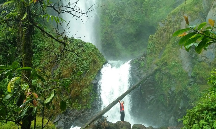Curug Cijampang via Arocki, 1. Curug Cisampay, 2. Curug Aki Toto, 3. Curug Walanda, 4. Curug Kemang, 5. Curug Ngebul, 6. Curug Dengdeng, 7. Curug Ciastana, 8. Curug Cijampang, 9. Curug Kubang, 10. Curug Cibule, 11. Curug Dadali, 12. Curug Siuh, 13. Curug Citambur, 14. Curug Ciismun, 15. Curug Cibeureum, 16. Curug Cikondang, 17. Curug Cibogo, 18. Curug Pancur Desa Kemang
