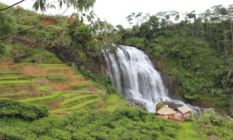 Curug Cikondang via Okezone, 1. Curug Cisampay, 2. Curug Aki Toto, 3. Curug Walanda, 4. Curug Kemang, 5. Curug Ngebul, 6. Curug Dengdeng, 7. Curug Ciastana, 8. Curug Cijampang, 9. Curug Kubang, 10. Curug Cibule, 11. Curug Dadali, 12. Curug Siuh, 13. Curug Citambur, 14. Curug Ciismun, 15. Curug Cibeureum, 16. Curug Cikondang, 17. Curug Cibogo, 18. Curug Pancur Desa Kemang