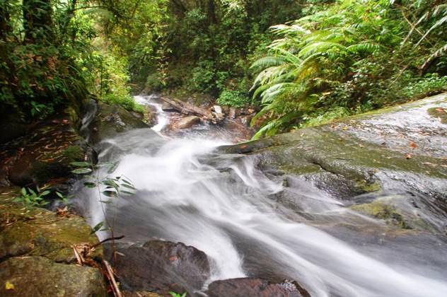 Curug Cipanji, 1. Curug Malela, 2. Curug Citambur, 3. Curug Dago, 4. Curug Sawer, 5. Curug Tilu Leuwi Opat, 6. Curug Maribaya, 7. Curug Jompong, 8. Curug Penganten, 9. Curug Cilengkrang, 10. Curug Layung, 11. Curug Batu Templek, 12. Curug Cimahi, 13. Curug Bugbrug, 14. Curug Siliwangi, 15. Curug Cinulang, 16. Curug Omas, 17. Curug Lalay Bandung Barat, 18. Curug Anom Natural Hills, 19. Curug Ngebul Cisitu, 20. Curug Bellarosa, 21. Curug Cipanji