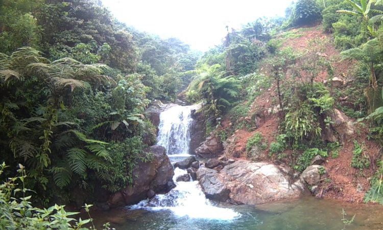 Curug Hordeng via Denubay, 1. Pura Parahyangan Jagatkarta, Bogor, 2. Taman Bunga Nusantara, 3. Curug Cilember, Bogor, 4. Danau Dora, Bogor, 5. Curug Hordeng, Bogor, 6. Pasar Ah Poong, Sentul Bogor, 7. Curug Cibaliung, Bogor, 8. Goa Agung Garunggang, 9. Rumah Pohon dan Jembatan Kayu Gantung Curug Ciherang Jonggol , 10. Little Venice Kota Bunga Puncak , 11. Penangkaran Rusa Giri Jaya Cariu , 12. The Jungle Water Adventure , 13. Curug Bidadari Sentul Paradise Park , 14. Taman Sakura Kebun Raya Cibodas , 15. Warso Farm, Bogor , 16. Rafting Sungai Cisadane , 17. Jungleland Adventure Theme Park , 18. Fly Indonesia Paragliding , 19. Gunung Pancar, Bogor , 20. Taman Safari Indonesia , 21. Taman Wisata Mekarsari, Bogor , 22. The High Land Park Resort (Mongolian Camp Bogor) , 23. Kampung Budaya Sindangbarang , 24. Taman Wisata Matahari di Bogor , 25. Bukit Alesano, Bogor , 26. Bika Bogor Talubi