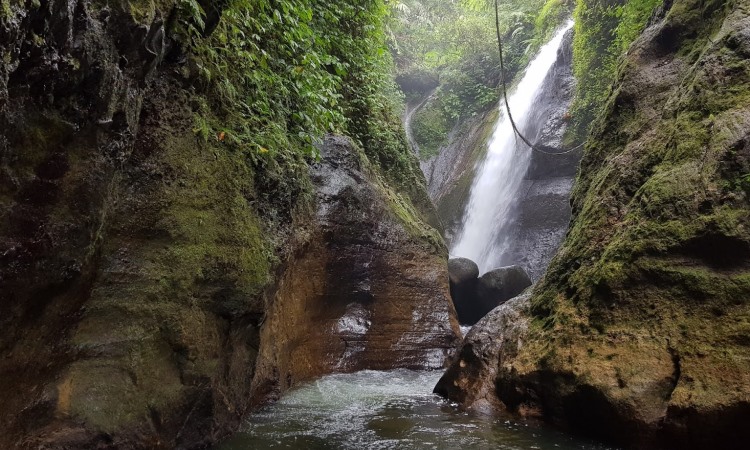 Curug Kiara via Udaindra.blogspotcom, 1. Curug Cilember, 2. Curug Cipamingkis, 3. Curug Love, 4. Curug Ngumpet, 5. Curug Ciherang, 6. Curug Ciputri, 7. Curug Putri Kencana, 8. Curug Bidadari, 9. Curug Cibulao, 10. Curug Seribu, 11. Curug Hordeng, 12. Curug Cikuluwung, 13. Curug Leuwi Lieuk, 14. Curug Panjang, 15. Curug Naga, 16. Curug Cikaracak, 17. Curug Leuwi Cibaliung, 18. Curug Barong, 19. Curug Cigamea, 20. Curug Balong Endah, 21. Curug Luhur, 22. Curug Kiara