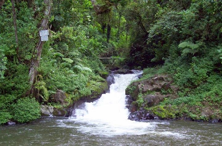 Curug Layung, 1. Curug Malela, 2. Curug Citambur, 3. Curug Dago, 4. Curug Sawer, 5. Curug Tilu Leuwi Opat, 6. Curug Maribaya, 7. Curug Jompong, 8. Curug Penganten, 9. Curug Cilengkrang, 10. Curug Layung, 11. Curug Batu Templek, 12. Curug Cimahi, 13. Curug Bugbrug, 14. Curug Siliwangi, 15. Curug Cinulang, 16. Curug Omas, 17. Curug Lalay Bandung Barat, 18. Curug Anom Natural Hills, 19. Curug Ngebul Cisitu, 20. Curug Bellarosa, 21. Curug Cipanji