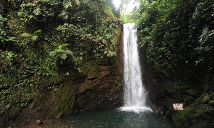 Curug Ngumpet via Wikipedia, 1. Curug Cigame, 2. Berkemah atau camping di Kaki Gunung Bunder, 3. Curug Ngumpet, 4. Kampung Sindang Barang Bogor, 5. Pura Parahiyangan Agung Jagatkarta, 6. Taman Nasional Gunung Halimun Salak, 7. Melihat Elang Lebih Dekat di Suaka Elang Loji
