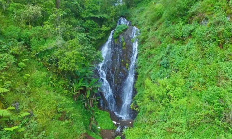 Curug Siliwangi via Tourbandung, 1. Curug Malela, 2. Curug Citambur, 3. Curug Dago, 4. Curug Sawer, 5. Curug Tilu Leuwi Opat, 6. Curug Maribaya, 7. Curug Jompong, 8. Curug Penganten, 9. Curug Cilengkrang, 10. Curug Layung, 11. Curug Batu Templek, 12. Curug Cimahi, 13. Curug Bugbrug, 14. Curug Siliwangi, 15. Curug Cinulang, 16. Curug Omas, 17. Curug Lalay Bandung Barat, 18. Curug Anom Natural Hills, 19. Curug Ngebul Cisitu, 20. Curug Bellarosa, 21. Curug Cipanji