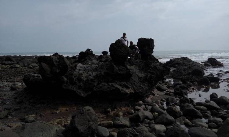 Pantai Cigebang via Wisataanakbandung.blogspotcom, 1. Pantai Apra, 2. Pantai Jayanti, 3. Pelabuhan Jayanti, 4. Pantai Cigebang, 5. Pantai Karang Potong  , 6. Pantai Sereg, 7. Pantai Ciwidig, 8. Pantai Agrabinta, 9. Pantai Cipanglay, 10. Pantai Batu Kukumbung, 11. Pantai Sarongge, 12. Pantai Cieurih, 13. Pantai Sindangbarang, 14. Pantai Lugina, 15. Ciujung Beach, 16. Pantai Rancabuaya, 17. Muara Cisela, 18. Pantai Maleber