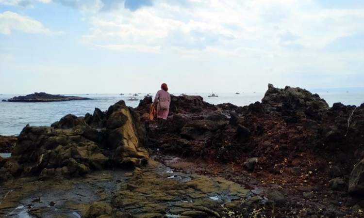 Pantai Sarongge via Sukabumiupdate, 1. Pantai Apra, 2. Pantai Jayanti, 3. Pelabuhan Jayanti, 4. Pantai Cigebang, 5. Pantai Karang Potong  , 6. Pantai Sereg, 7. Pantai Ciwidig, 8. Pantai Agrabinta, 9. Pantai Cipanglay, 10. Pantai Batu Kukumbung, 11. Pantai Sarongge, 12. Pantai Cieurih, 13. Pantai Sindangbarang, 14. Pantai Lugina, 15. Ciujung Beach, 16. Pantai Rancabuaya, 17. Muara Cisela, 18. Pantai Maleber