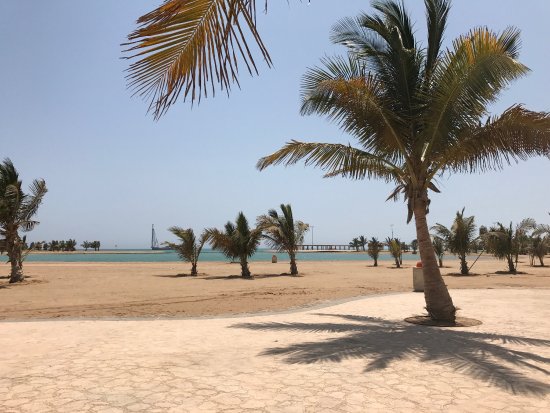 Yanbu Al-Bahr Beach via Tripadvisor, 1. Pantai Farasan Al Kabir, 2. Pantai Haql, 3. Silver Sands Beach, 4. Al Fanateer Beach, 5. Half Moon Beach, 6. Umluj Beach, 7. OIA Beach Resort, Jeddah, 8. Durrat Al-Arus, Jeddah, 9. Bhadur Resort, 10. Salhia Resort, 11. Yanbu Al-Bahr Beach, 12. Uqair Beach (Al Hofuf)