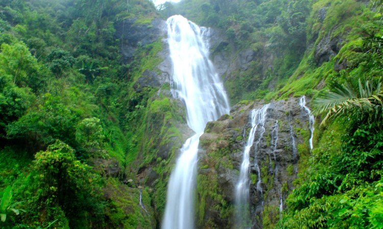 Curug Cibadak via Jelajahgarut, 1. Curug Nyogong, 2. Curug Ciharus, 3. Curug Jaga Pati, 4. Curug Cisarua, 5. Curug Arjuna, 6. Curug Cibadak, 7. Curug Sanghyang Taraje, 8. Curug Dengdeng, 9. Curug Cikanay, 10. Curug Salawe, 11. Curug Orok, 12. Curug Rahong, 13. Curug Luhur, 14. Curug Ngaleng, 15. Curug Cihanyawar, 16. Curug Cibitung, 17. Curug Mala, 18. Curug Cibuni Racun, 19. Curug Ermat, 20. Curug Koncrang