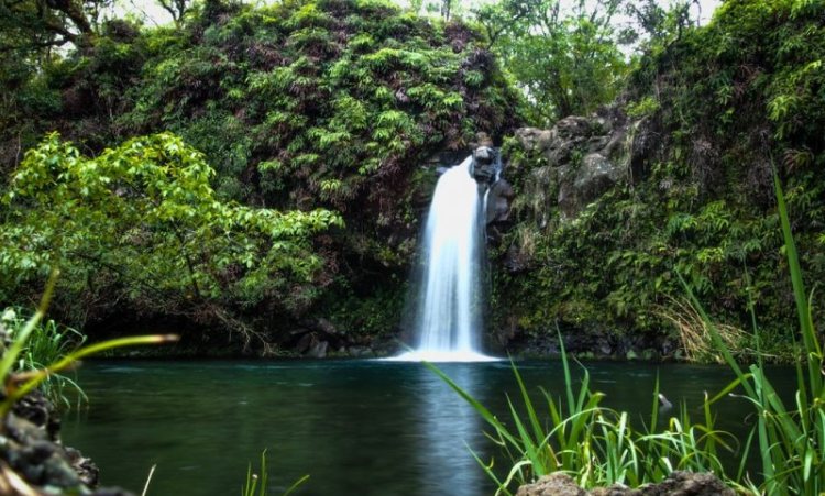 Curug Cisarua via Reservasi, 1. Curug Nyogong, 2. Curug Ciharus, 3. Curug Jaga Pati, 4. Curug Cisarua, 5. Curug Arjuna, 6. Curug Cibadak, 7. Curug Sanghyang Taraje, 8. Curug Dengdeng, 9. Curug Cikanay, 10. Curug Salawe, 11. Curug Orok, 12. Curug Rahong, 13. Curug Luhur, 14. Curug Ngaleng, 15. Curug Cihanyawar, 16. Curug Cibitung, 17. Curug Mala, 18. Curug Cibuni Racun, 19. Curug Ermat, 20. Curug Koncrang