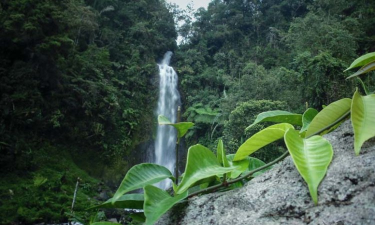 Curug Ngaleng via Odestory, 1. Curug Nyogong, 2. Curug Ciharus, 3. Curug Jaga Pati, 4. Curug Cisarua, 5. Curug Arjuna, 6. Curug Cibadak, 7. Curug Sanghyang Taraje, 8. Curug Dengdeng, 9. Curug Cikanay, 10. Curug Salawe, 11. Curug Orok, 12. Curug Rahong, 13. Curug Luhur, 14. Curug Ngaleng, 15. Curug Cihanyawar, 16. Curug Cibitung, 17. Curug Mala, 18. Curug Cibuni Racun, 19. Curug Ermat, 20. Curug Koncrang