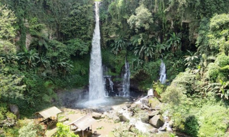 Curug Orok via Detik, 1. Curug Nyogong, 2. Curug Ciharus, 3. Curug Jaga Pati, 4. Curug Cisarua, 5. Curug Arjuna, 6. Curug Cibadak, 7. Curug Sanghyang Taraje, 8. Curug Dengdeng, 9. Curug Cikanay, 10. Curug Salawe, 11. Curug Orok, 12. Curug Rahong, 13. Curug Luhur, 14. Curug Ngaleng, 15. Curug Cihanyawar, 16. Curug Cibitung, 17. Curug Mala, 18. Curug Cibuni Racun, 19. Curug Ermat, 20. Curug Koncrang